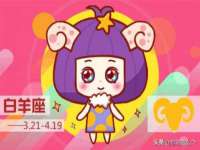 上海运博鹏网络技术有限公司