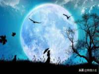 上海运博鹏网络技术有限公司