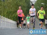 上海运博鹏网络技术有限公司