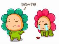 上海运博鹏网络技术有限公司