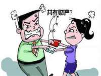 上海运博鹏网络技术有限公司