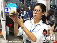上海运博鹏网络技术有限公司