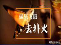 上海运博鹏网络技术有限公司