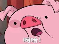 上海运博鹏网络技术有限公司