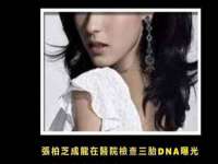 上海运博鹏网络技术有限公司