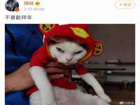 上海运博鹏网络技术有限公司