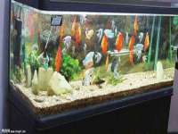 上海运博鹏网络技术有限公司