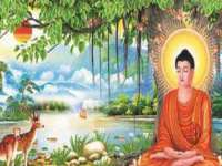 上海运博鹏网络技术有限公司