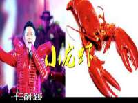 上海运博鹏网络技术有限公司