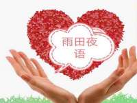 上海运博鹏网络技术有限公司
