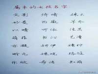 上海运博鹏网络技术有限公司
