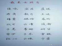 上海运博鹏网络技术有限公司