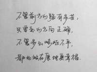 上海运博鹏网络技术有限公司