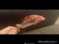 上海运博鹏网络技术有限公司
