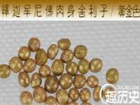 上海运博鹏网络技术有限公司