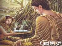 上海运博鹏网络技术有限公司