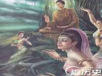 上海运博鹏网络技术有限公司